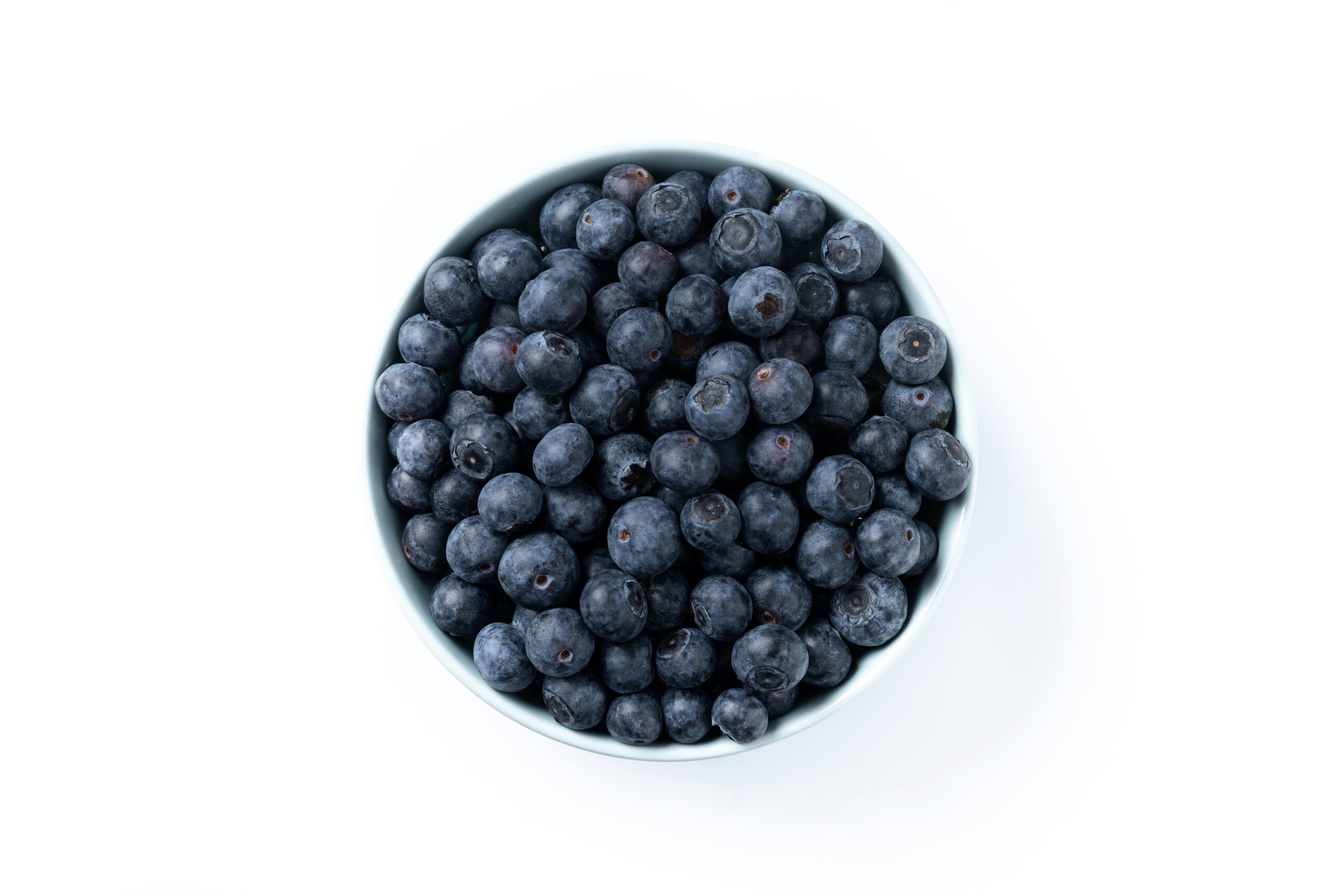 BLUEBERRIES (40g)